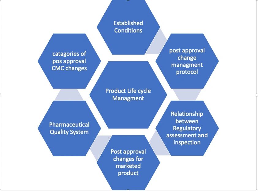 Regulatory Affairs Strategies for C M C